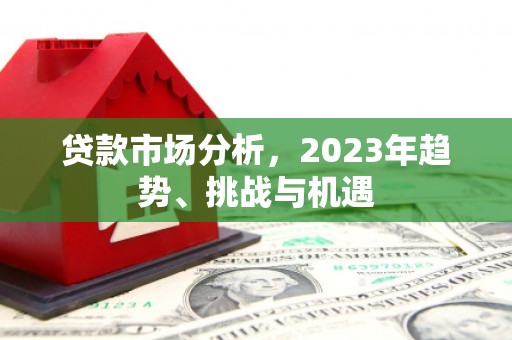 水林贷款市场分析，2023年趋势、挑战与机遇