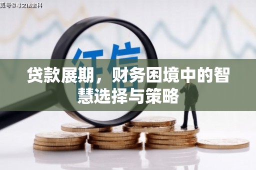 虞城贷款展期，财务困境中的智慧选择与策略
