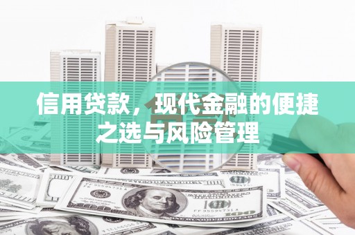 陆川信用贷款，现代金融的便捷之选与风险管理