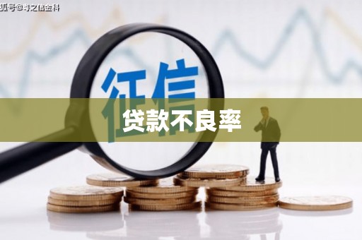 成县贷款不良率