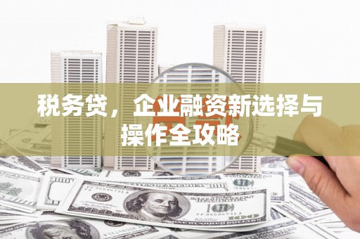 安化税务贷，企业融资新选择与操作全攻略