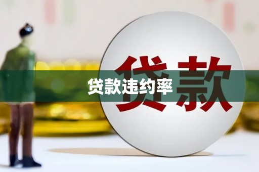 双滦贷款违约率