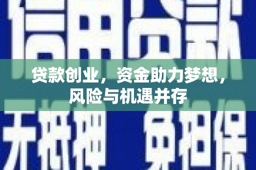 岳塘贷款创业，资金助力梦想，风险与机遇并存