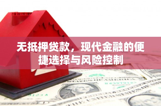分宜无抵押贷款，现代金融的便捷选择与风险控制