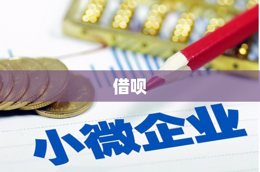 西丰借呗