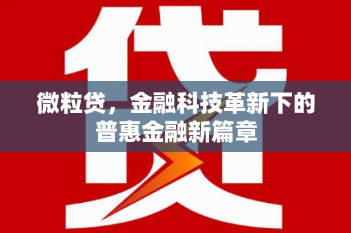 冕宁微粒贷，金融科技革新下的普惠金融新篇章