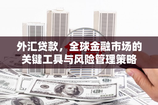 潭子外汇贷款，全球金融市场的关键工具与风险管理策略