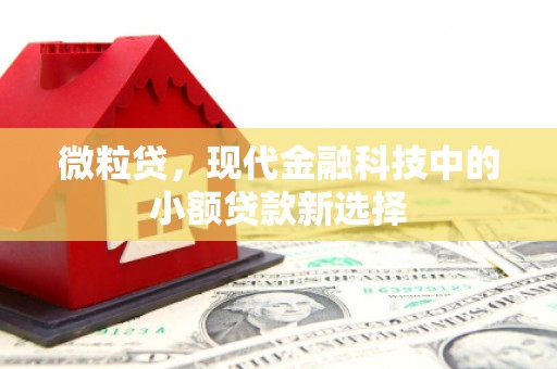 东台微粒贷，现代金融科技中的小额贷款新选择