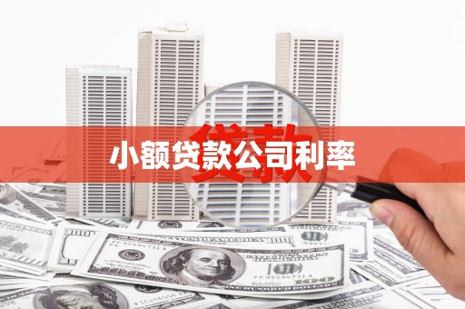 根河小额贷款公司利率