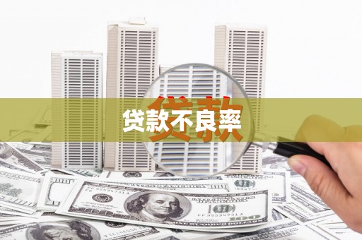 荔城贷款不良率