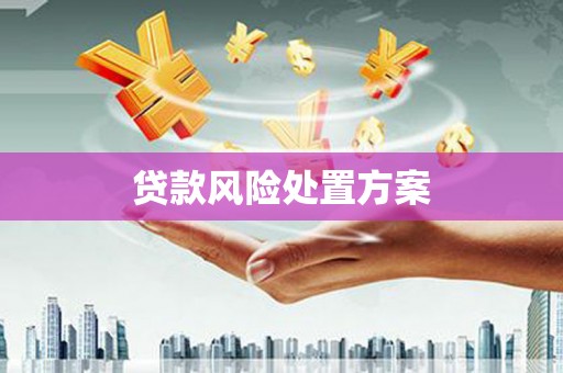 石龙贷款风险处置方案