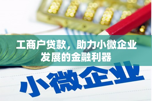叶县工商户贷款，助力小微企业发展的金融利器
