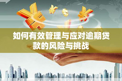 万全如何有效管理与应对逾期贷款的风险与挑战