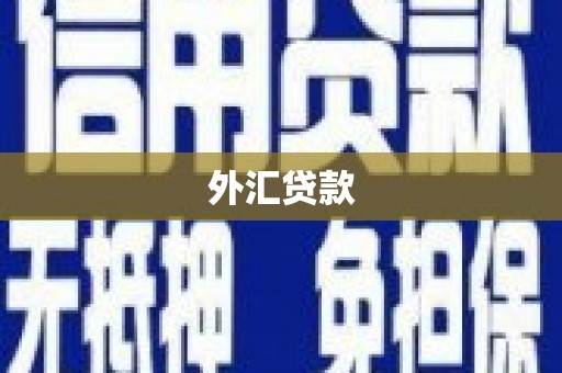麦积外汇贷款