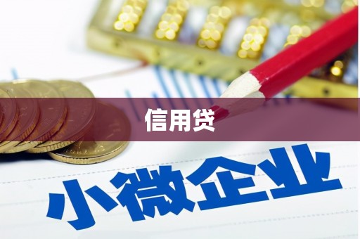 大丰信用贷