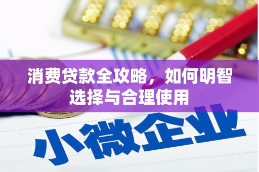 芳苑消费贷款全攻略，如何明智选择与合理使用