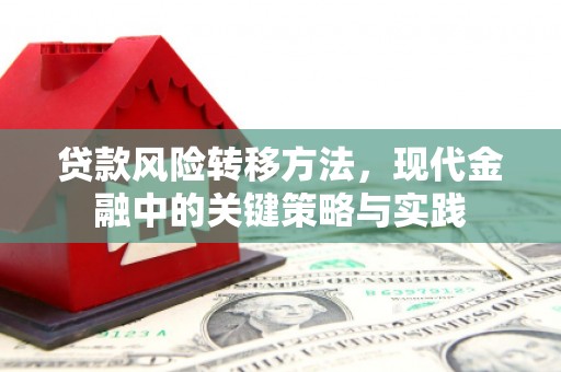 馆陶贷款风险转移方法，现代金融中的关键策略与实践