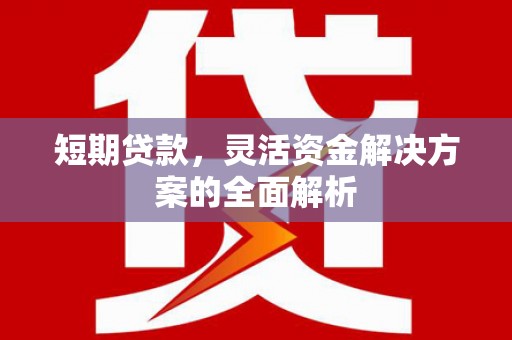 圣方济各堂区短期贷款，灵活资金解决方案的全面解析