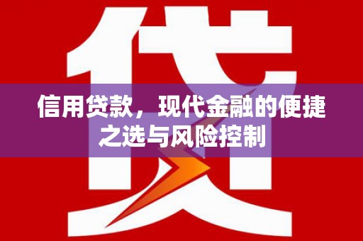 黔西信用贷款，现代金融的便捷之选与风险控制