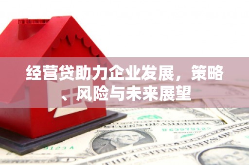 黔西经营贷助力企业发展，策略、风险与未来展望