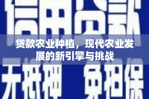 水富贷款农业种植，现代农业发展的新引擎与挑战