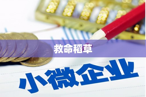 齐齐哈尔救命稻草