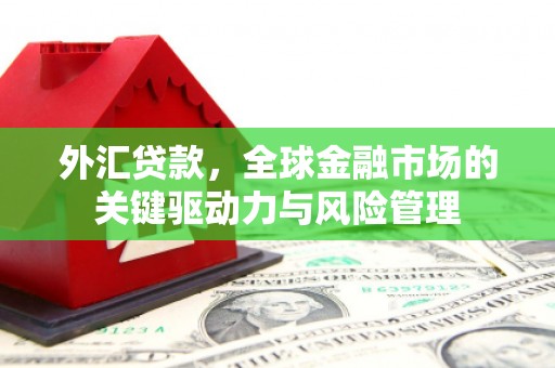 天津外汇贷款，全球金融市场的关键驱动力与风险管理