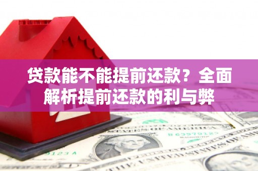 武川贷款能不能提前还款？全面解析提前还款的利与弊