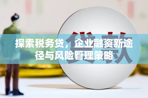 东台探索税务贷，企业融资新途径与风险管理策略