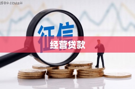 连云经营贷款