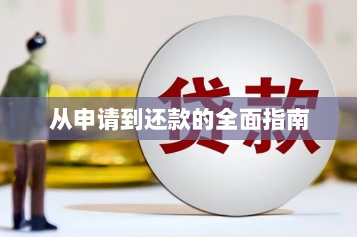 神池从申请到还款的全面指南