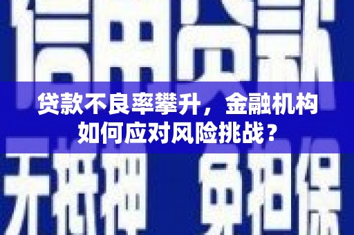 南安贷款不良率攀升，金融机构如何应对风险挑战？