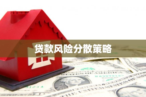 天等贷款风险分散策略