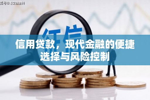 长岭信用贷款，现代金融的便捷选择与风险控制
