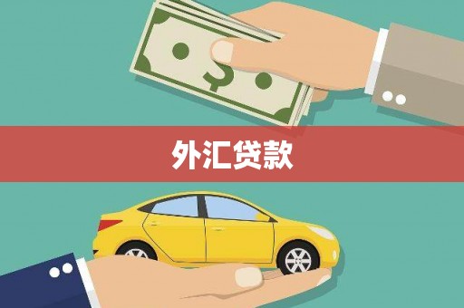 望城外汇贷款
