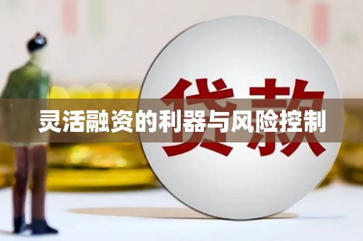 积石山灵活融资的利器与风险控制