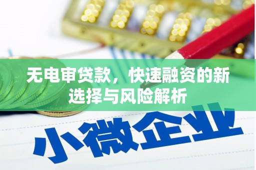 漳州无电审贷款，快速融资的新选择与风险解析