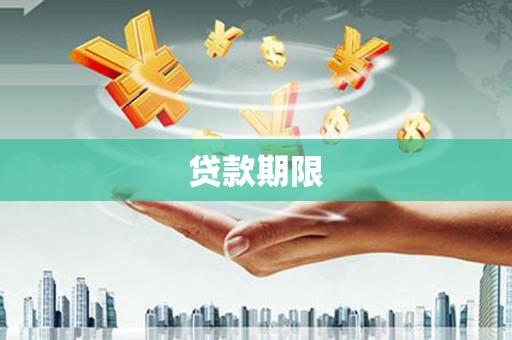 新平贷款期限