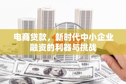 荔浦电商贷款，新时代中小企业融资的利器与挑战