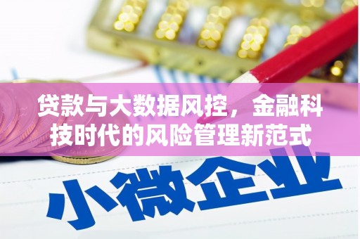 玉环贷款与大数据风控，金融科技时代的风险管理新范式