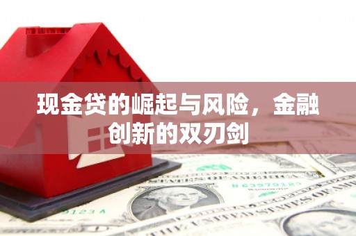 中和现金贷的崛起与风险，金融创新的双刃剑