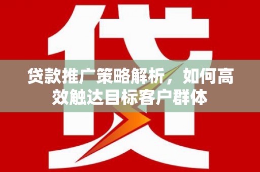 平南贷款推广策略解析，如何高效触达目标客户群体