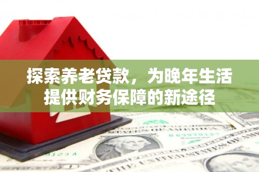 文安探索养老贷款，为晚年生活提供财务保障的新途径