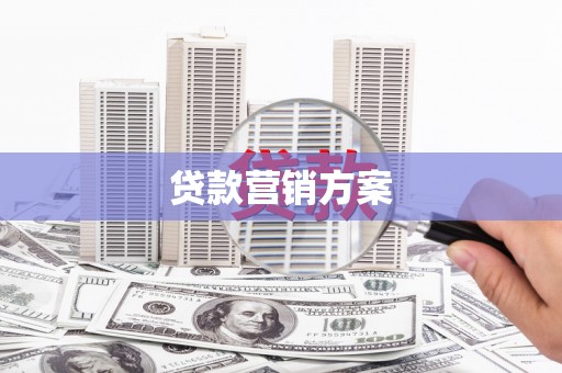 天元贷款营销方案