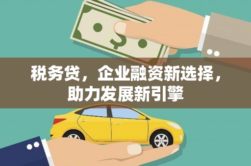 崆峒税务贷，企业融资新选择，助力发展新引擎