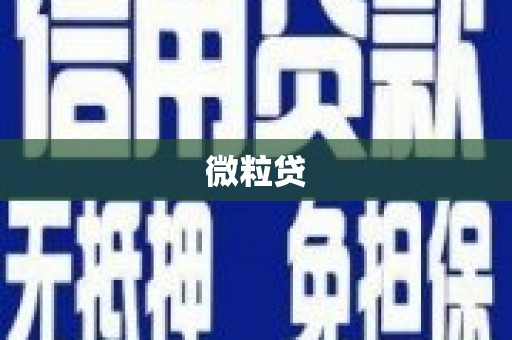 宁晋微粒贷