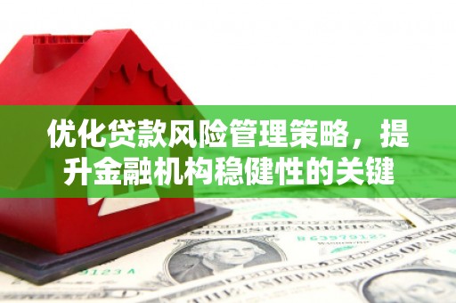 连山优化贷款风险管理策略，提升金融机构稳健性的关键