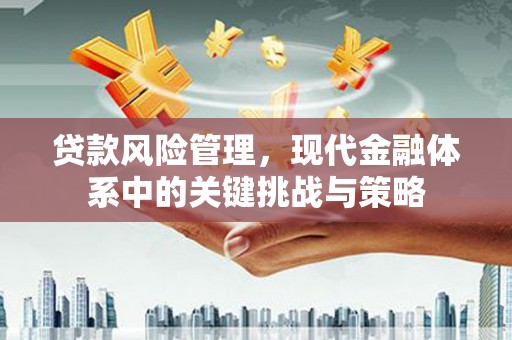 凤山贷款风险管理，现代金融体系中的关键挑战与策略