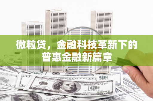 夏邑微粒贷，金融科技革新下的普惠金融新篇章