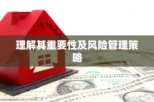 芬园理解其重要性及风险管理策略